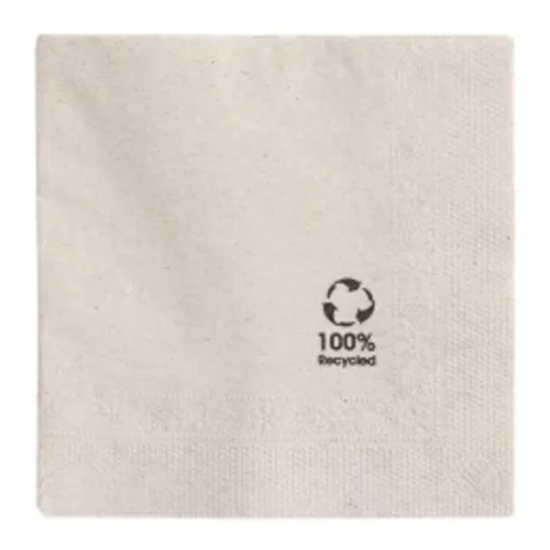 Салфетка бумажная ECO двухслойная, 20*20 см, 100 шт, Garcia de PouИспания