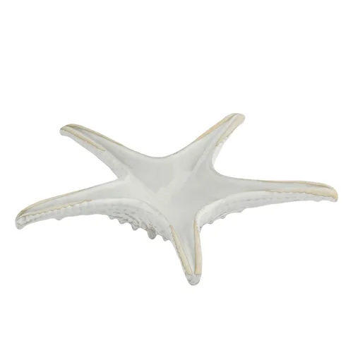 Блюдо для подачи 24 см h6 см Звезда Gray Starfish Frutti di Mare P.L. [1]