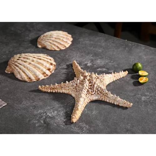 Блюдо для подачи 15*15 см h5,5 см 125 мл емкость для закусок Pearl Shell Frutti di Mare P.L. [1]