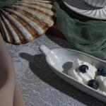 Блюдо овальное 23,5*5,7 см h3,5 см 100 мл Gray Narrowboat с ручками Frutti di Mare P.L. [3]