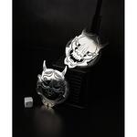 Стрейнер барный нерж. d 10 см Череп Skull B'Guys P.L.- Barbossa