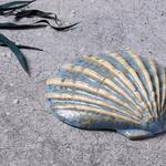 Блюдо для подачи 13*12,5 см h3 см Shell Northern Blue Frutti di Mare P.L. [1]