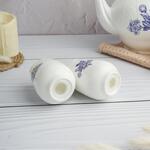 Набор для специй 2 предмета Солонка/Перечница d 5,1 см h7,3 см Sea Flower P.L. Proff Cuisine [1]