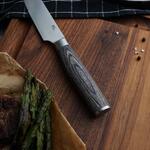 Нож для стейка 24 см "Garwin" Pakka Wood P.L. Proff Cuisine