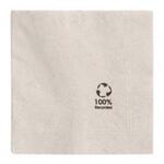 Салфетка бумажная ECO двухслойная, 20*20 см, 100 шт, Garcia de PouИспания