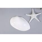 Блюдо овальное 32,5*20 см h6,5 см 100 мл Gray Shell Frutti di Mare P.L. [1]