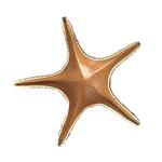 Блюдо для подачи 28*28 см h6 см 100 мл Звезда Pearl Starfish Frutti di Mare P.L. [1]