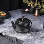 Чайник 600 мл d 14 см h8,5 см с ситом Smooth Black Raw Stellar P.L. Proff Cuisine [1]
