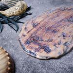 Блюдо овальное 51,8*23,5 см h3,5 см Light Purple Shell Northern Blue Frutti di Mare P.L. [1]