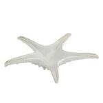 Блюдо для подачи 24 см h6 см Звезда Gray Starfish Frutti di Mare P.L. [1]