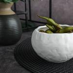 Салатник  250 мл d 9,5 см h6 см емкость для закусок White Matt Panasia P.L. [1]