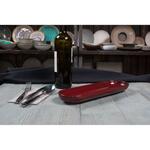 Блюдо овальное 32,5*10 см h3 см Evolution Dark Red P.L. Proff Cuisine [1]