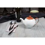 Чайник 1000 мл h14,5 см Brown Shore Fusion P.L. Proff Cuisine [1]