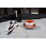 Чайная пара 220 мл d 9 см h6,4 см Brown Shore Fusion P.L. Proff Cuisine [4]