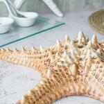 Блюдо для подачи 28*28 см h6 см 100 мл Звезда Pearl Starfish Frutti di Mare P.L. [1]