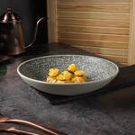 Салатник  850 мл d 23,6 см h5,8 см глазурь Glossy Stone Untouched Taiga P.L. Proff Cuisine [1]