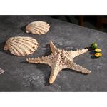 Блюдо для подачи 15*15 см h5,5 см 125 мл емкость для закусок Pearl Shell Frutti di Mare P.L. [1]