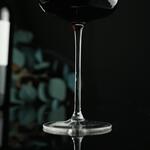 Бокал для вина 580 мл "Optical" d 9,5 см h23,5 см P.L. - BarWare [6]