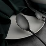 Ложка столовая 21 см матовая черный цвет PVD Alessi-Black P.L. [12]