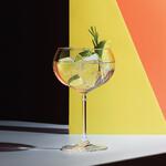 Бокал для коктейля 550 мл Gin Cocktail "Palette" d 9,7/11,9 см h18,5 см Ocean [6]