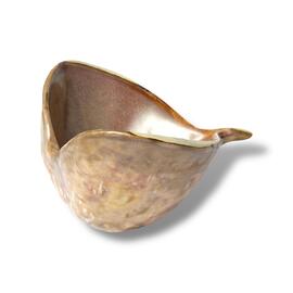 Салатник 100 мл 13*13 см h8,5 см Pearl Shell Frutti di Mare P.L. [1]