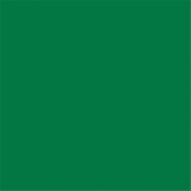 Салфетка бумажная Double Point двухслойная зеленая, 39*39 см, 50 шт, Garcia de Pou