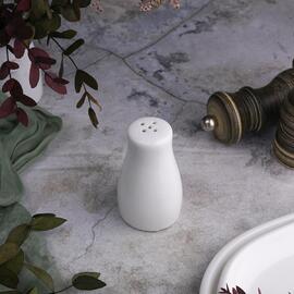 Солонка d 5 см h8,5 см белая фарфор NEW P.L. Proff Cuisine [1]