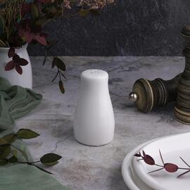 Солонка d 5 см h8,5 см белая фарфор NEW P.L. Proff Cuisine [1]