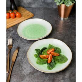 Салатник 450 мл d 21,5 см h3,8 см зеленый фарфор "The Sun Eco" P.L. Proff Cuisine [6]