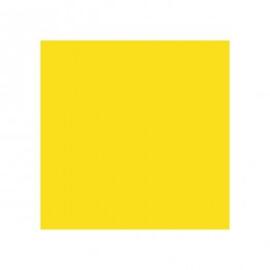 Салфетка бумажная Double Point двухслойная желтый, 39*39 см, 50 шт, Garcia de Pou