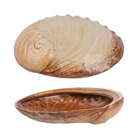 Салатник 365 мл 19*14,5 см h5 см Pearl Ammonite Shell Frutti di Mare P.L. [1]