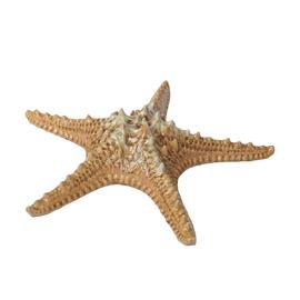 Блюдо для подачи 28*28 см h6 см 100 мл Pearl Starfish Frutti di Mare P.L. [1]