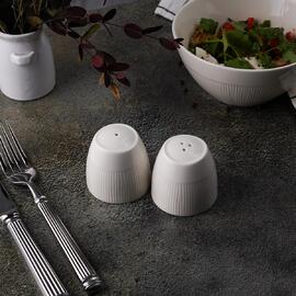 Набор для специй 2 предмета Солонка/Перечница d 5,8 см h5,7 см Neo Silk Noble [1]