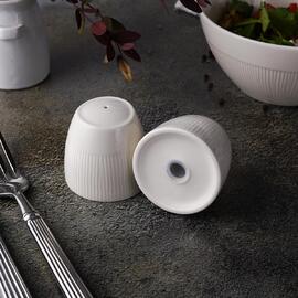 Набор для специй 2 предмета Солонка/Перечница d 5,8 см h5,7 см Neo Silk Noble [1]