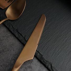 Нож столовый 22,9 см матовая медь PVD 1920-Copper P.L. [12]