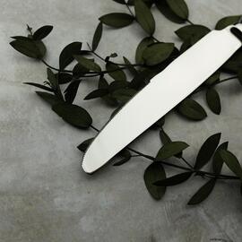 Нож столовый 24,5 см Ritz Noble [12]