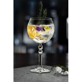 Бокал для коктейля 580 мл хр. стекло Gin Tonic Luxion Alkemist RCR Cristalleria [6]