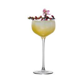 Бокал для коктейля 175 мл "Aster" Cocktail Week P.L. [6]
