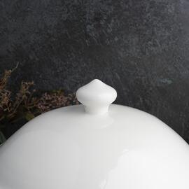 Супница 7 л d 25,5 см h25 см белая фарфор P.L. Proff Cuisine [1]