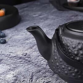 Чайник 750 мл d 13 см h10 см с ситом Black Raw Stellar P.L. Proff Cuisine [1]