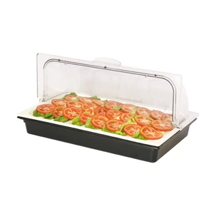 Поднос для выкладки 53*32,5*24,5 см фарфор с пласт. Roll-top крышкой + 2 емкости с хладогеном SUNNEX
